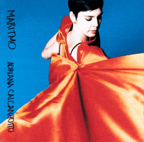 Ac Perfil GIF by AdrianaCalcanhotto