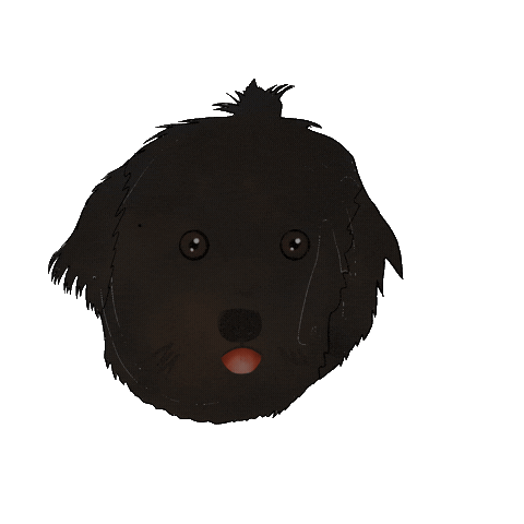 Sticker by claire guentz