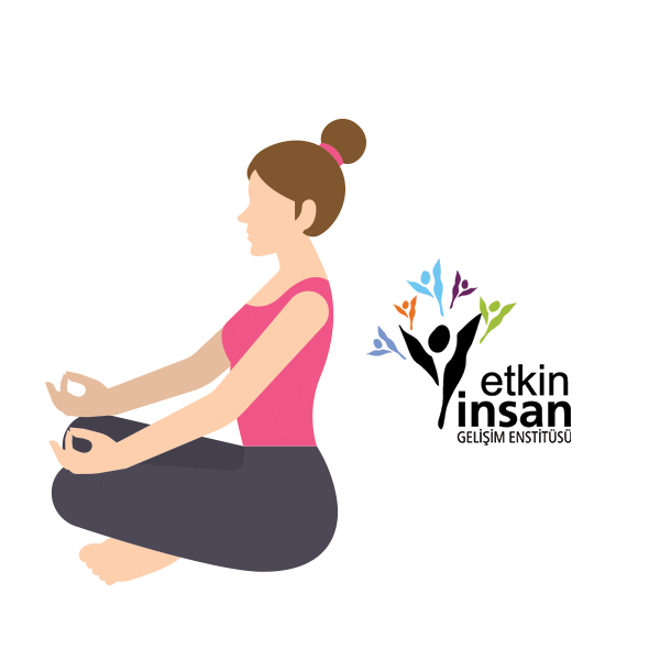 Etkin İnsan Gelişim Enstitüsü Sticker