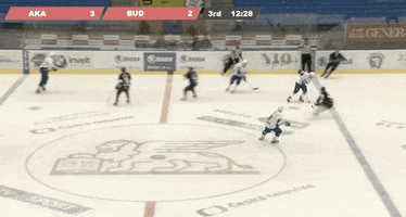 Univerzitní hokej GIF