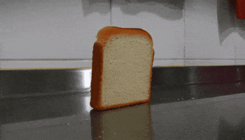 Toast GIF