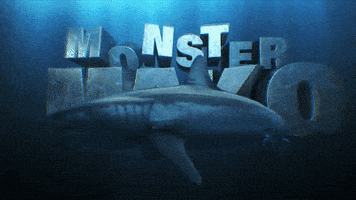 Discovery GIF by Shark Week