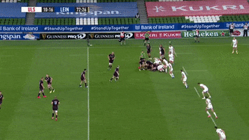 GIF by PRO14Official