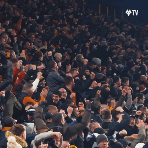 Partying Premier League GIF by Wolves