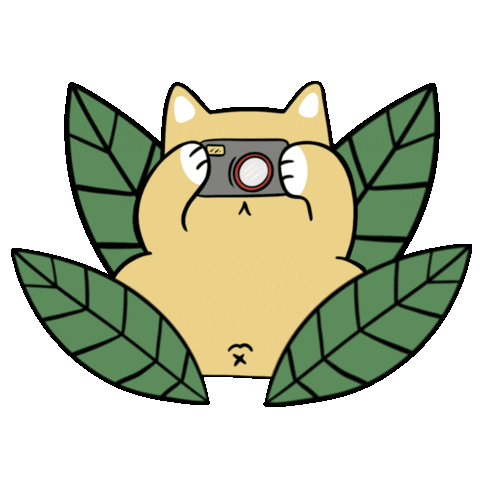 Photographer Sticker