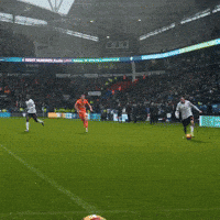Goal GIF by Bolton Wanderers FC