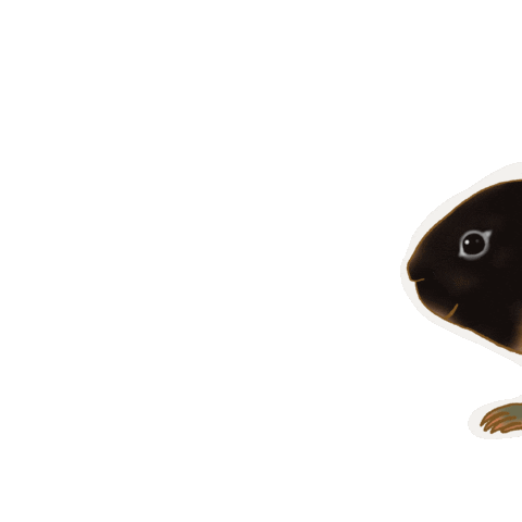 Animated Sticker