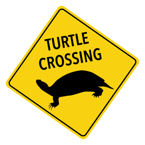 Turtle Sticker