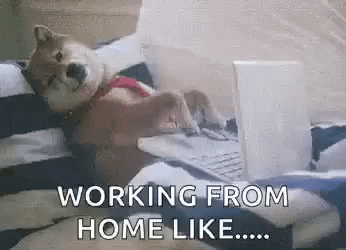 Corona Working From Home GIF by MOODMAN - Find & Share on GIPHY