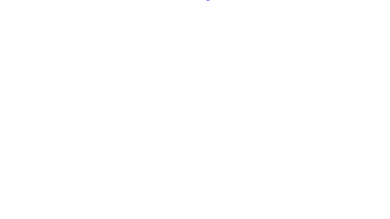 Cvsr Sticker by voleysanroque