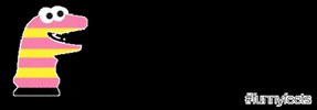 Donsocks GIF