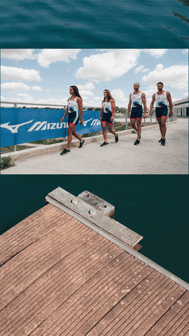 FFAviron GIF