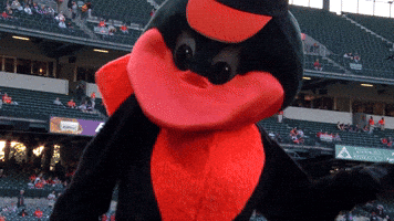 Mascot Orioles2019 GIF by Baltimore Orioles