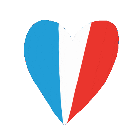 France Flag Sticker