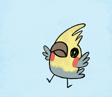 Bird Sing GIF by Sow Ay