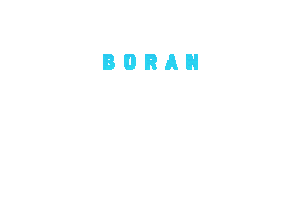Teamboran Sticker by Crossfit Boran