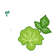 Herb Sticker by DENTISTE'