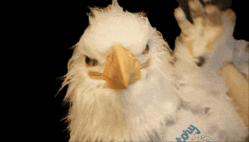 December5 GIF by RepealDay