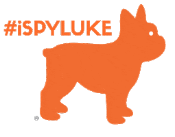 Luke Ispyluke Sticker by nexthomesierra