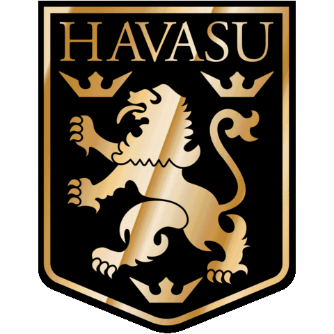Havasu Lions FC Sticker