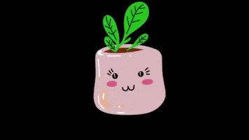 Plant Rosa GIF