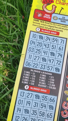 Lucky Charm GIF by Idaho Lottery