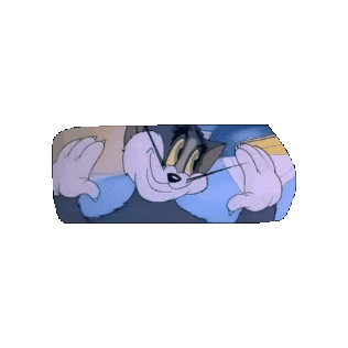 Tomcat Sticker