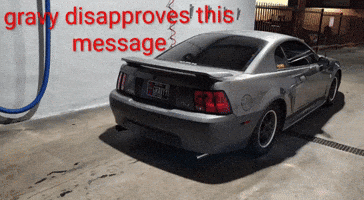 Mustang GIF