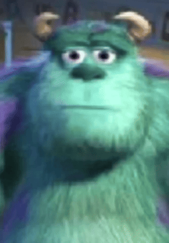 Monsters Inc Sully GIF