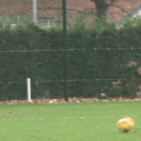 james ward-prowse football GIF by Southampton FC