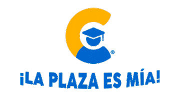 Academia CEAPRO Sticker