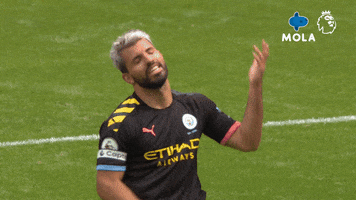 Premier League Reaction GIF by MolaTV