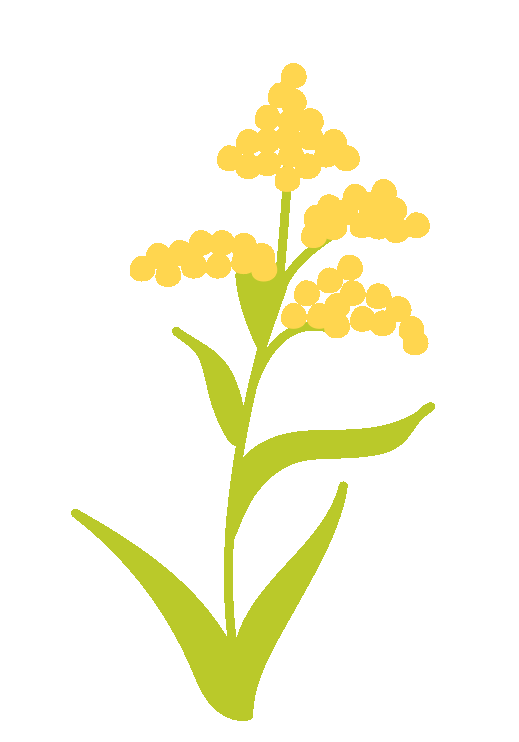Flower Plants Sticker by University of Nebraska–Lincoln
