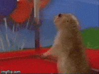 200w.gif