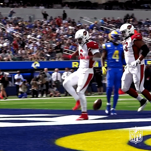Excited Arizona Cardinals GIF by NFL