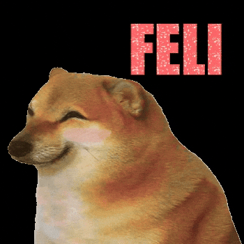 Feli GIF by Revicheems