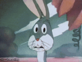 Looney Tunes Stare GIF