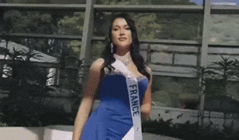 France Crown GIF