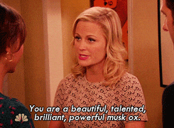 parks and recreation compliment GIF