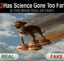 Realorfake GIF