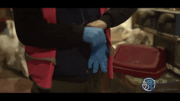GIF by British Aqua Feeds