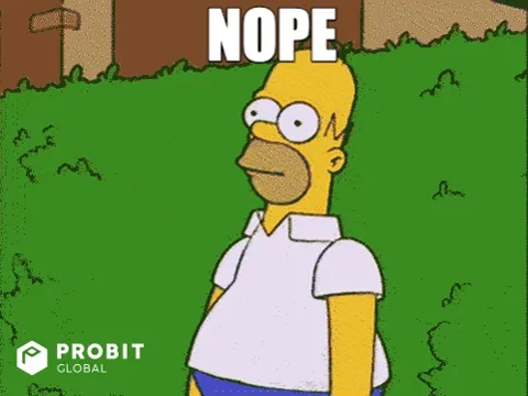 Homer Simpson No GIF by ProBit Global