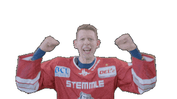 Hockey Family Sticker by Eisbären Regensburg