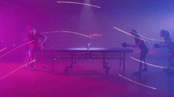Ping Pong GIF by JOOLA Table Tennis