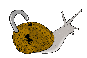 Lock Caracol Sticker