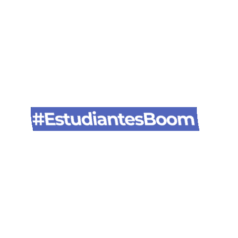 Boom Studies Sticker