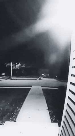 Staring Paranormal Activity GIF