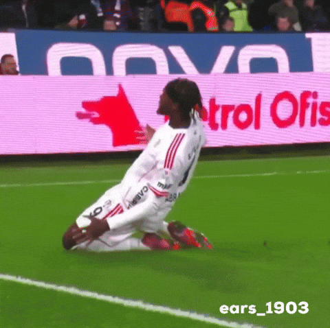 Ears1903 GIF