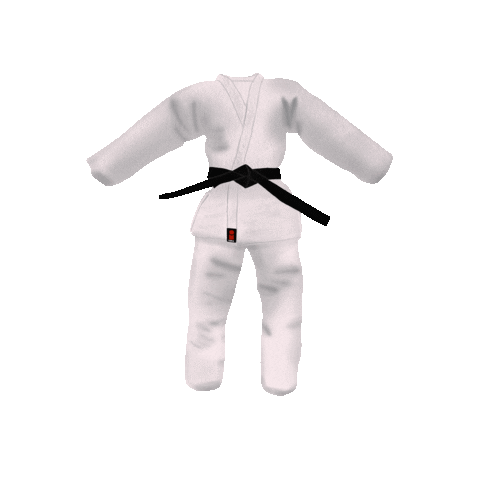 Judo Buddy Sticker