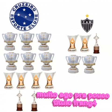 Cruzeiro Frangas GIF